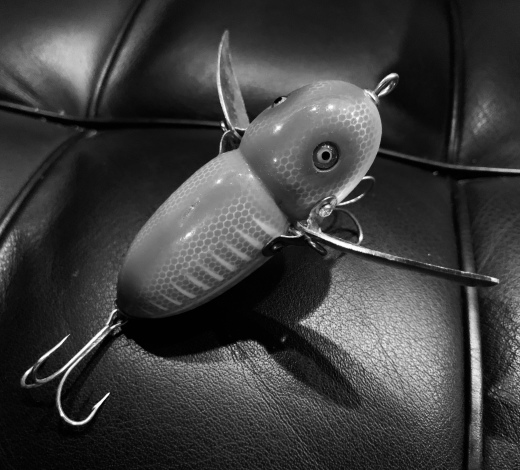 道楽 四半世紀 ⁉️ : YAMANELEAKS