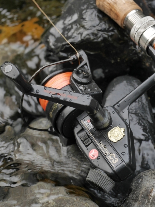 Cardinal C3 チューニング始めます！ : ヤマワークス・カスタム