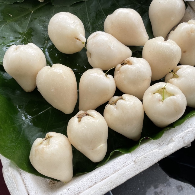 台湾の果物 白いレンブ「白玉蓮霧」 : そこはかノート ー台湾つれづれー