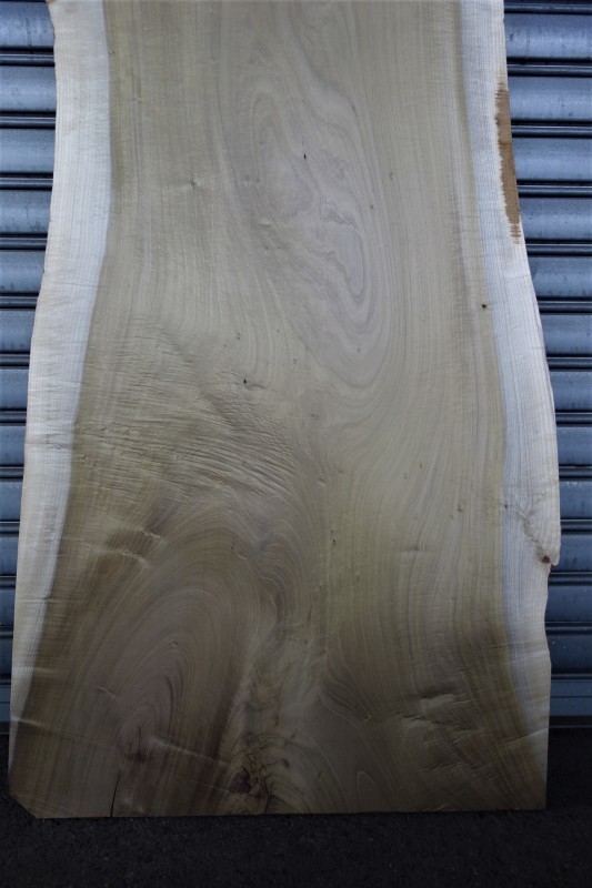 朴（ホオノキ）一枚板 天板用 : SOLiD「無垢材セレクトカタログ