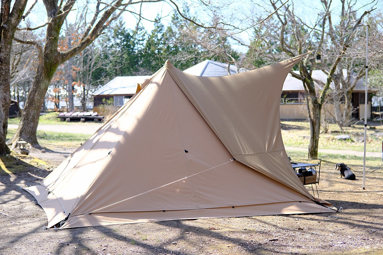 限定1台特別仕様車・バイク・自転車 - フルカーボンBOMA RS-I 基本分解