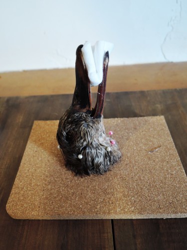 鴨の頭、剥製計画！（閲覧注意） : なまらや的日々