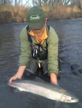 フライフィッシング動画ブログ “クレオール・THE・ムービー”