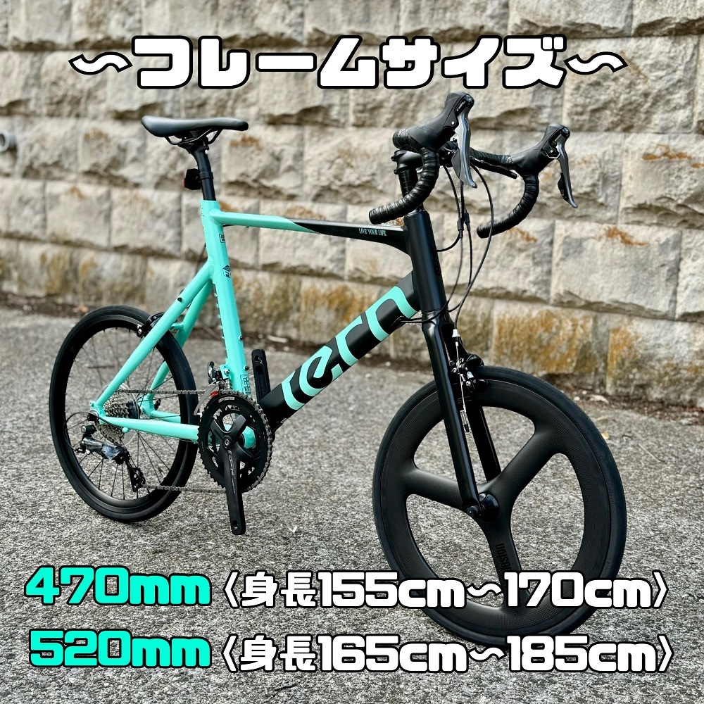 第5弾】 tern SURGE FLAMEbike限定 BLACK/turquoise - ミニベロ (小径