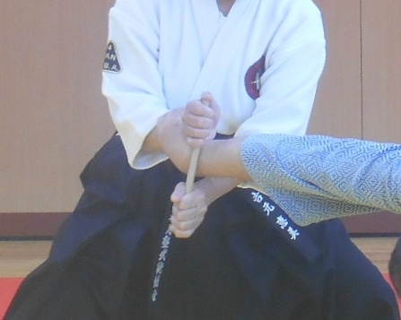 浅山一伝流捕手術八寸挫之伝 : 国際水月塾武術協会 International