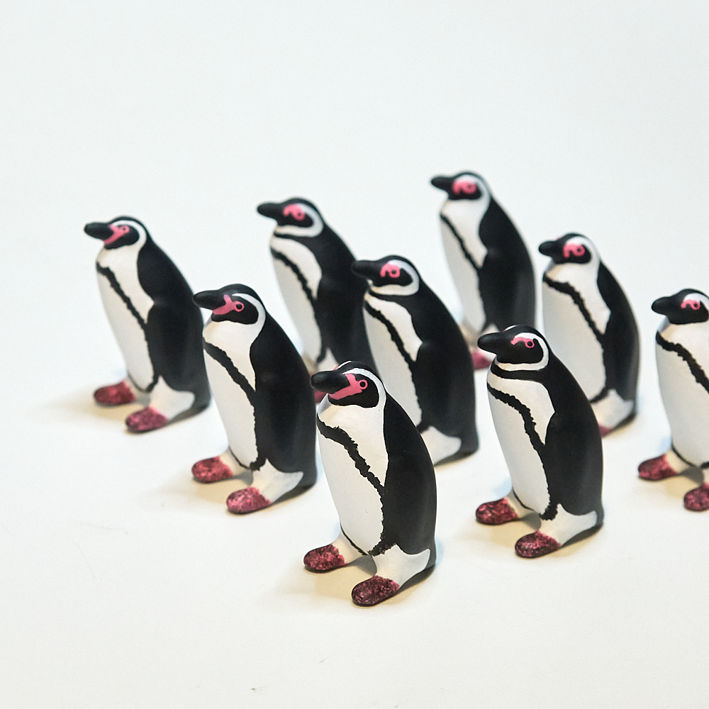 出品者紹介：こびとぺんぎん | ならペンギンランド