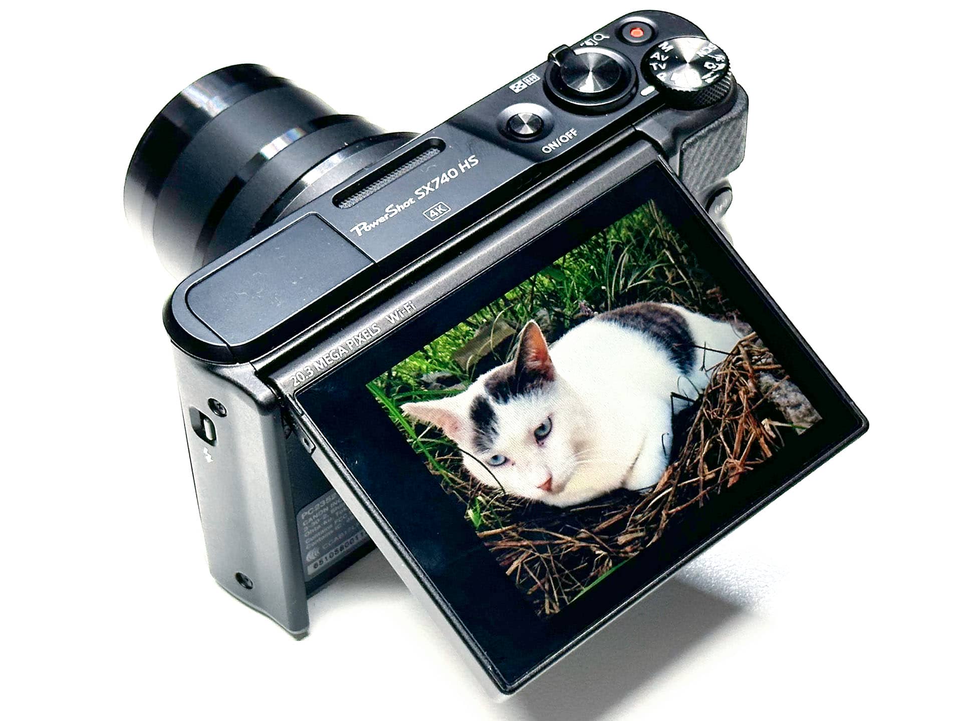 猫サイクリングのために買った2台のコンデジの使い勝手は？ ～