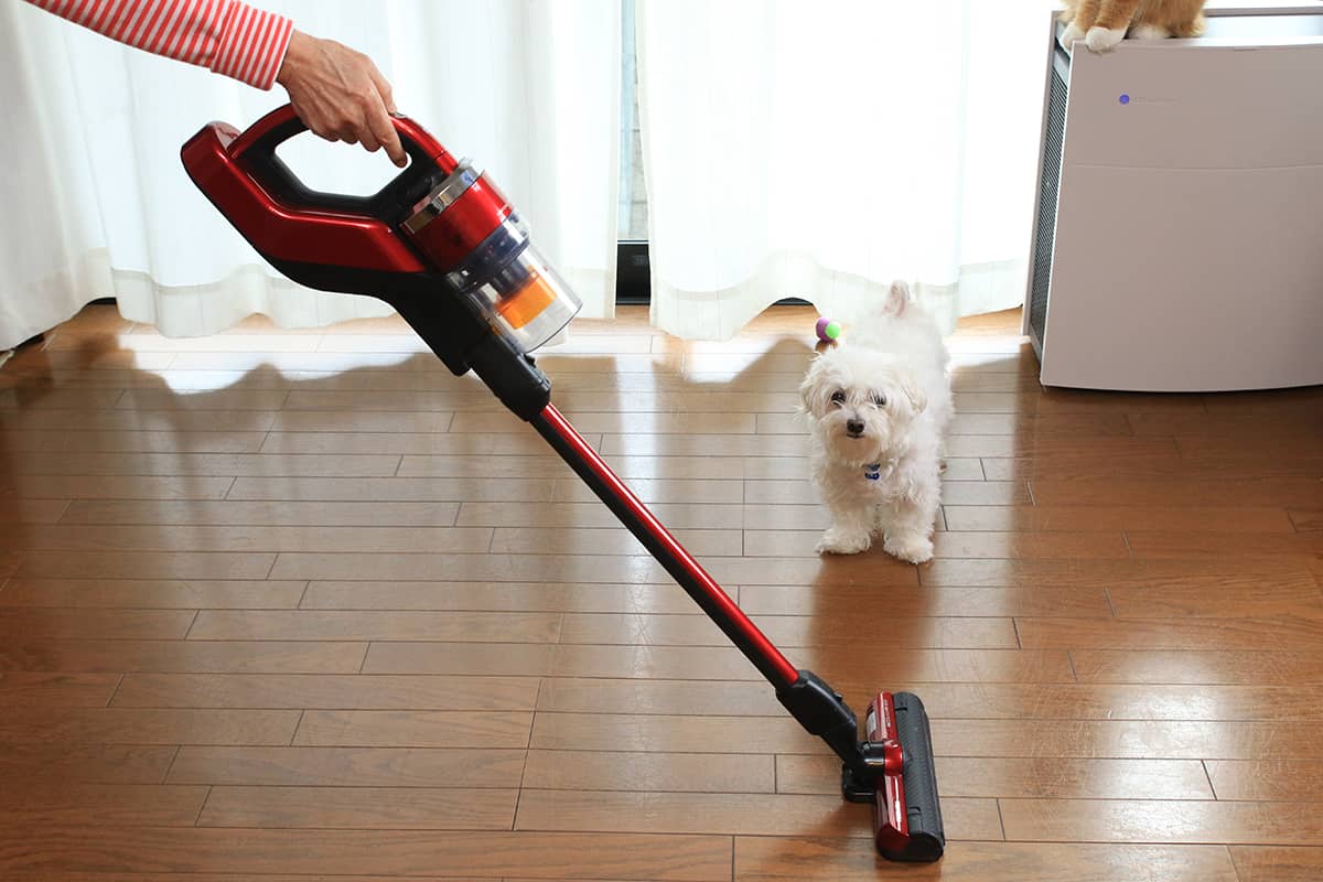 じつはペット家庭向けに開発されている!? 新型トルネオVを徹底レビュー