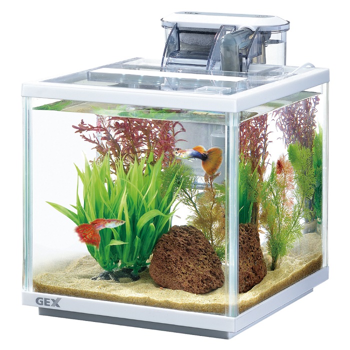 スリムアクアセット 200: 100｜業務用トリミング用品通販ショップ