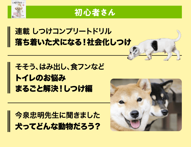特典・ふろくのご紹介| 愛犬の健康・育て方がわかる雑誌「いぬのきもち