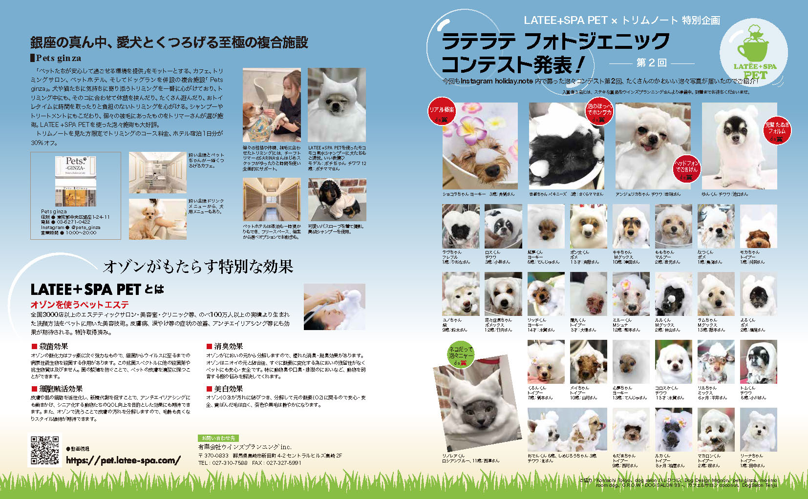 公式] オゾンの泡のペットメディカルエステ - ワンちゃんの肌質改善