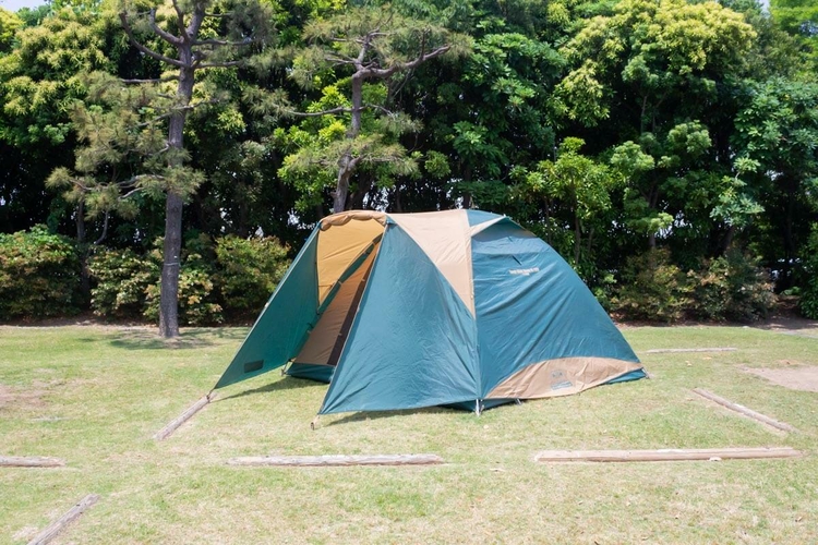 ______________________________