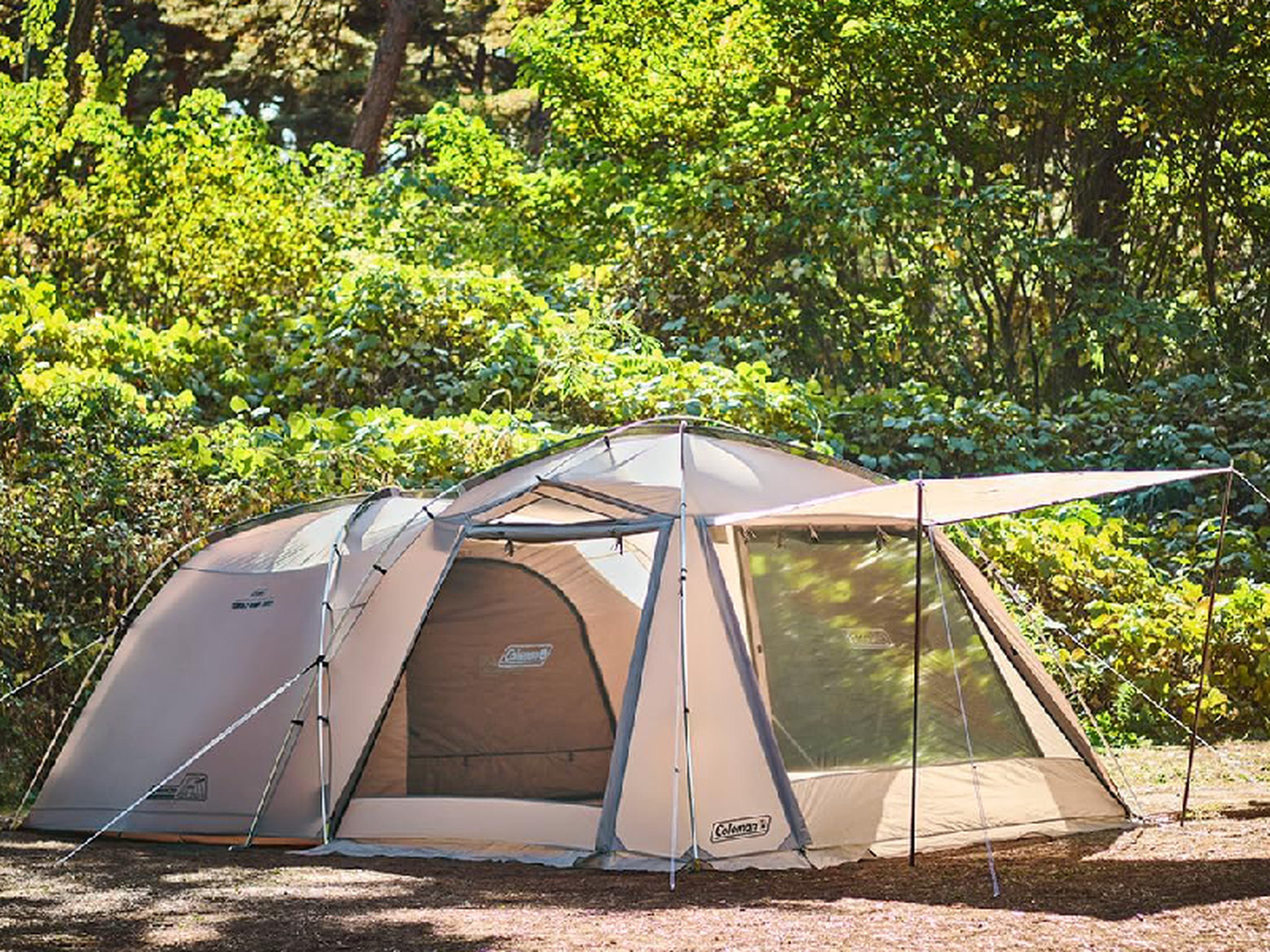 2025年】コールマンのテントおすすめ19選！新作や人気モデルを厳選