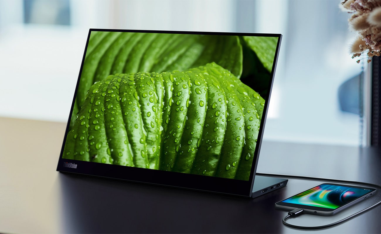 ThinkVision M14d(14型モバイル/2240×1400/IPS/USB-C) | 63AAUAR6JP