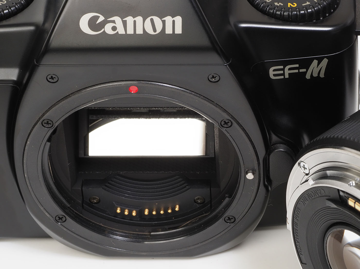 赤城耕一：第55回 EOSとは違う、1991年に登場した海外専用モデル