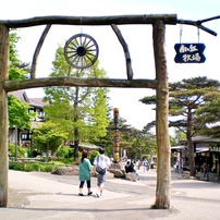 PENTAX(ペンタックス)のデジタルカメラOptio V10 で撮影した写真(画像