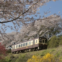 NIKON(ニコン)のレンズ Ai AF-S Zoom-Nikkor 17-35mm f/2.8D IF-ED で