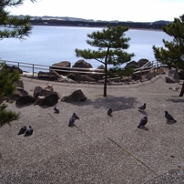 OLYMPUS(オリンパス)のデジタルカメラX600,D630,FE5500 で撮影した写真