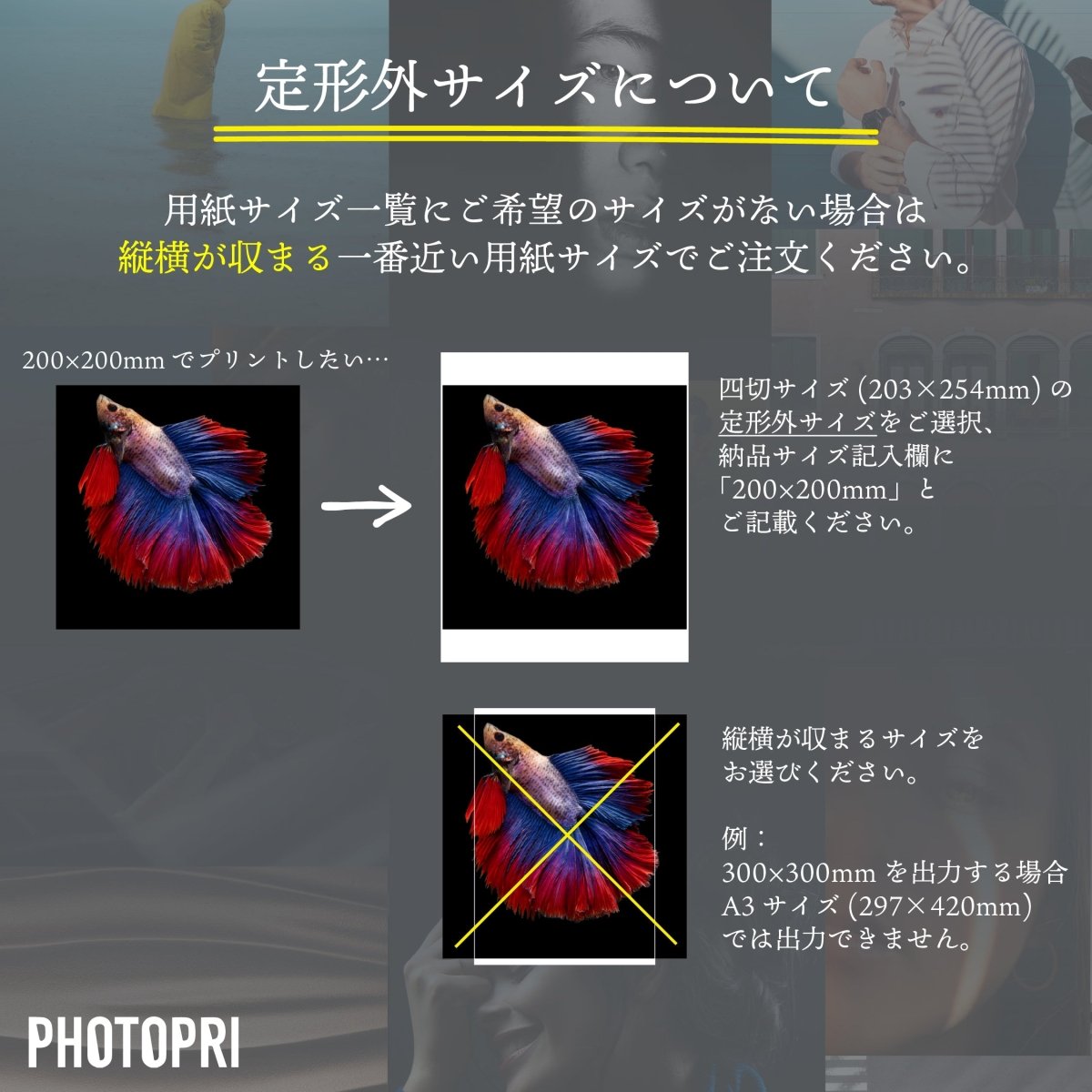 EPSON】写真用紙クリスピア高光沢 - PHOTOPRI【写真展・美術展品質の