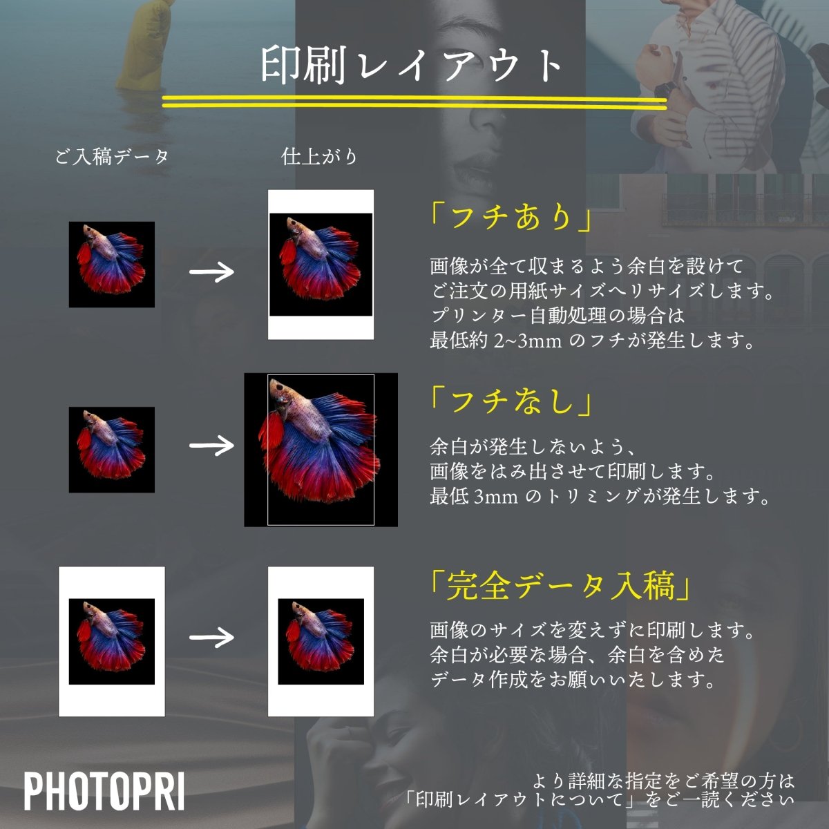 EPSON】Velvet Fine Art Paper - PHOTOPRI【写真展・美術展品質の