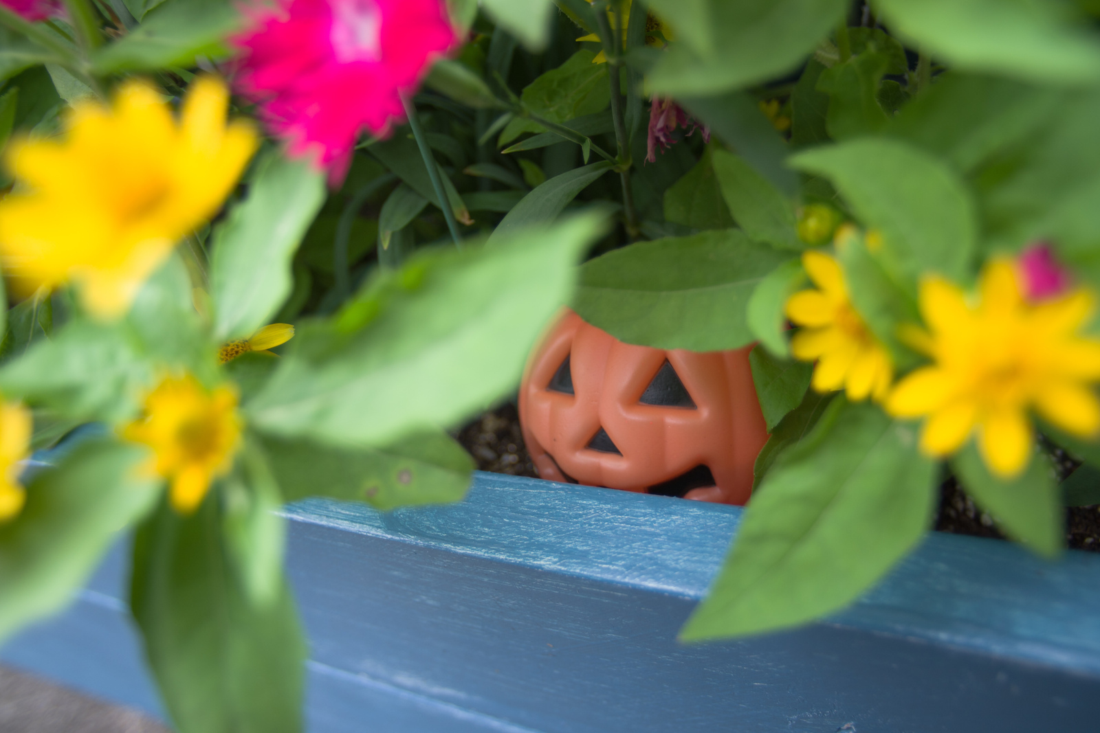 smc PENTAX-DA 14mm F2.8 ED [IF] - レンズ - pentax memo