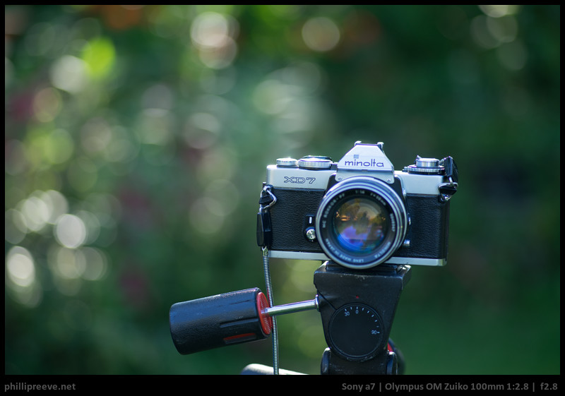 Short Review: Olympus OM Zuiko MC 100mm 1:2.8 - phillipreeve.net