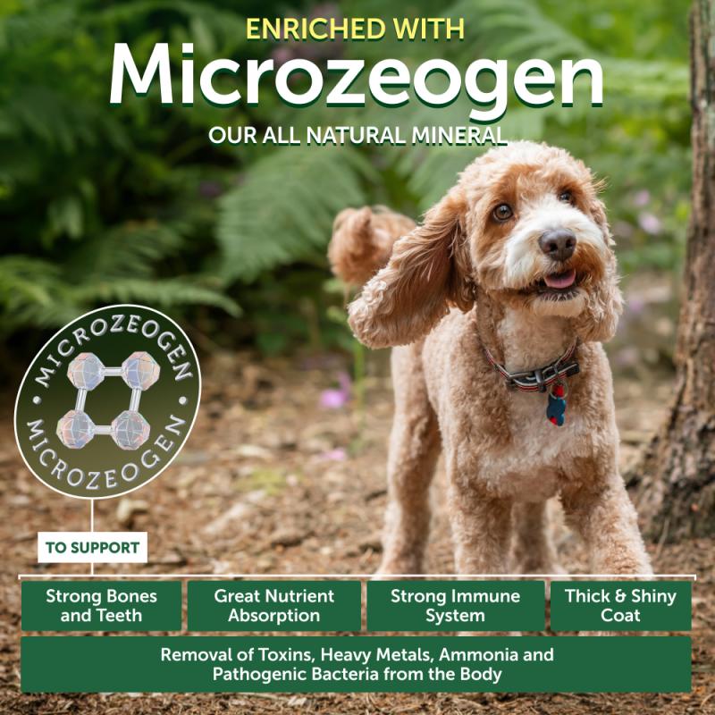 Nature's Protection Superior Care Red Coat Grain-Free Salmon