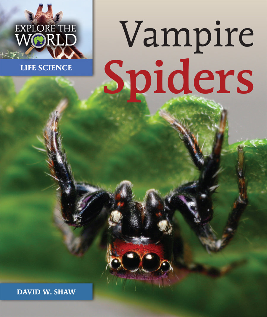 Vampire Spiders – Pioneer Valley Books