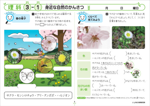 七田式小学生プリント3年理科・社会通販【七田式プリント】 ＜ 七田式