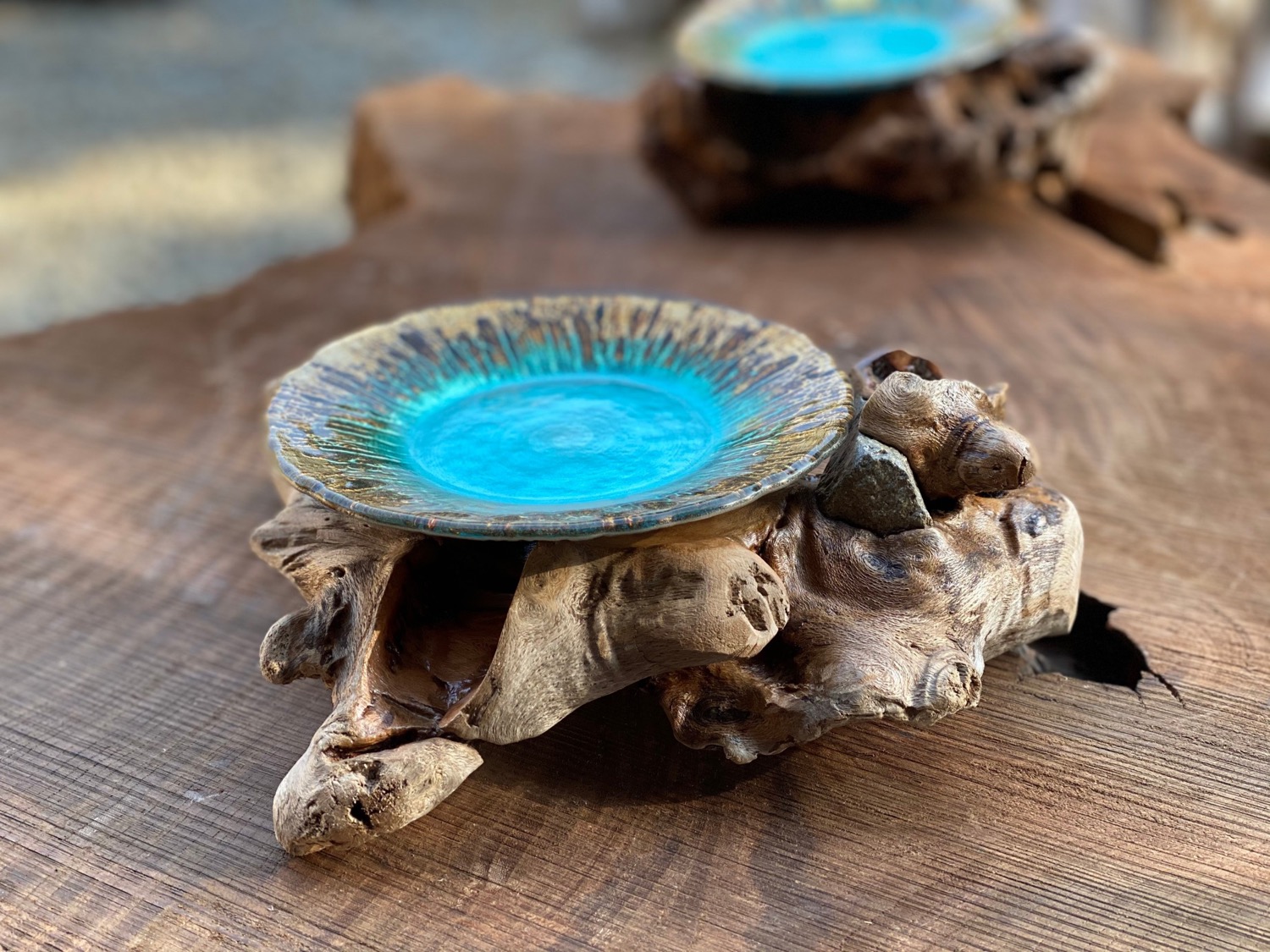 流木＜ 流木の森,流木＜海流木専門店 沼津 流木の森