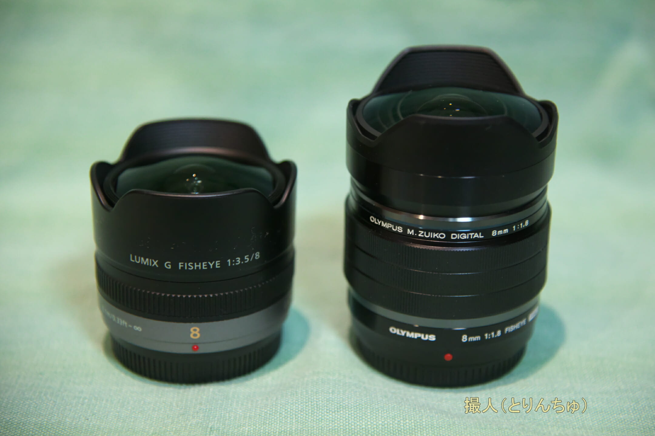Fisheye 8mmレンズ比較 | 撮人（とりんちゅ）