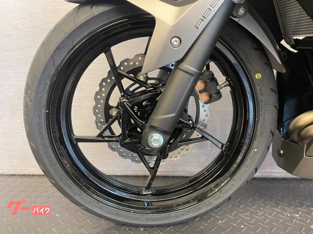 カワサキ Ninja 400 8BL－EX400L メタリックマット