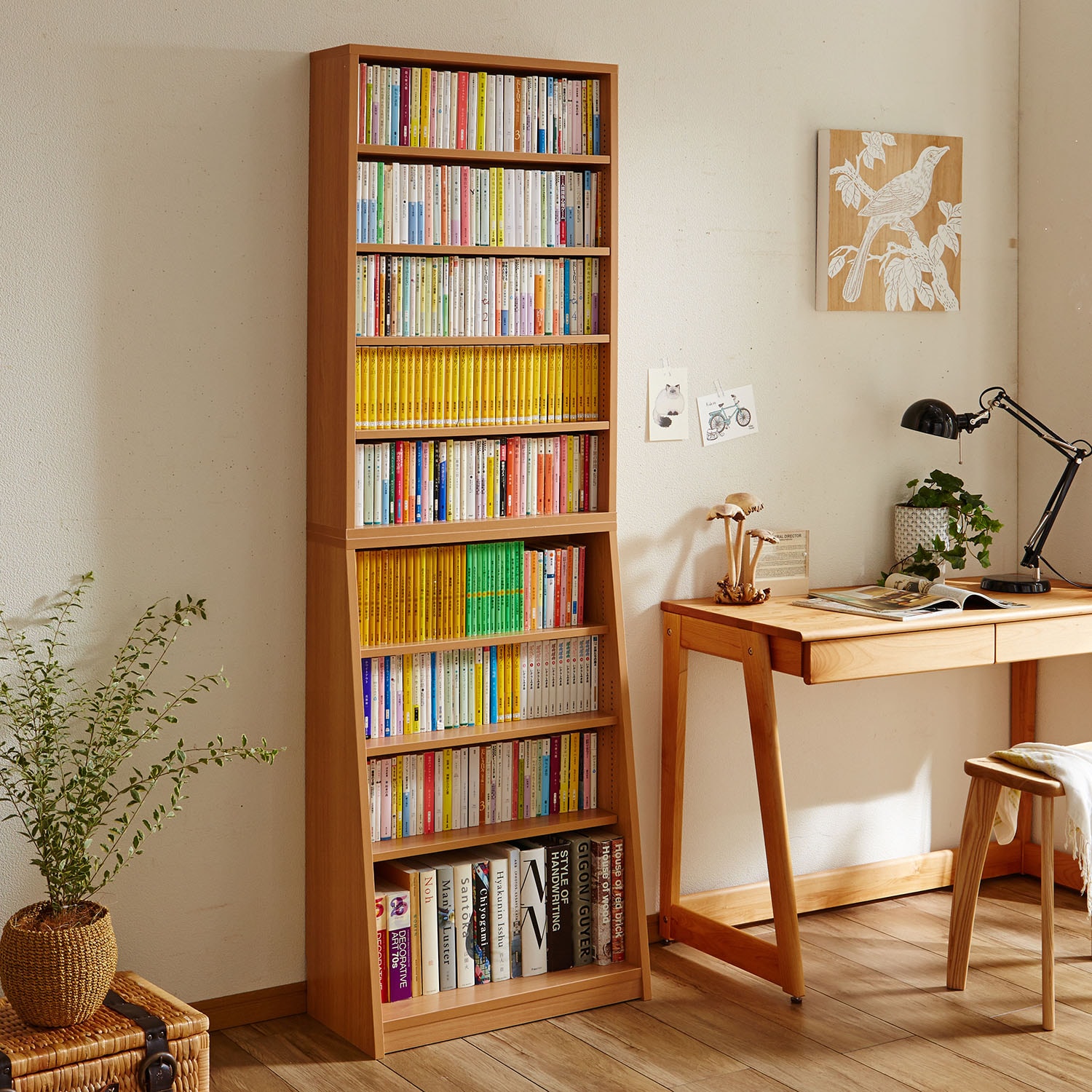 1cmピッチの薄型大容量収納本棚・オープンラック（本棚/書棚/ブック