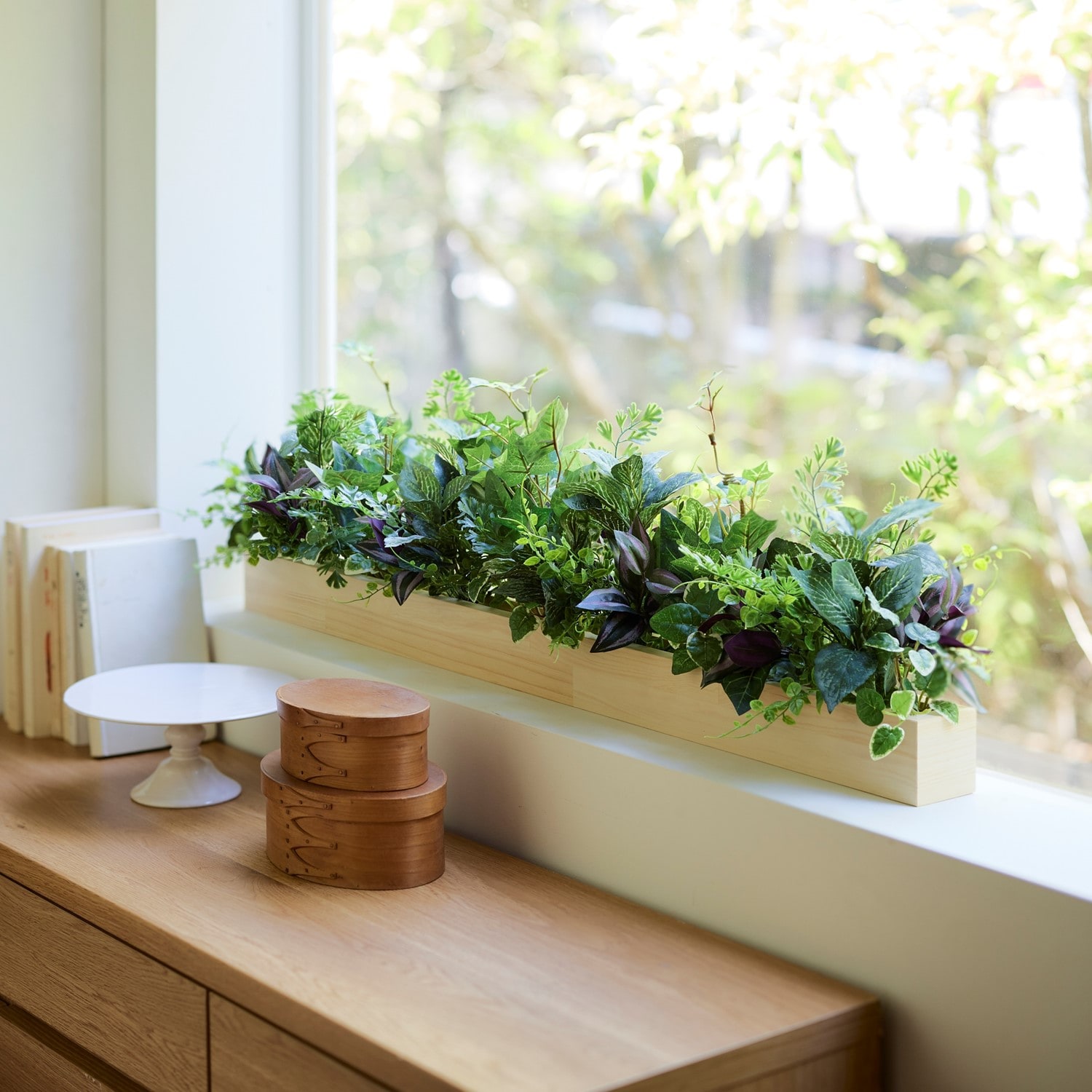 ウッドボックス入り光触媒加工フェイクグリーン｜通販のベルメゾンネット