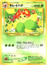 informationpack-bellossom-