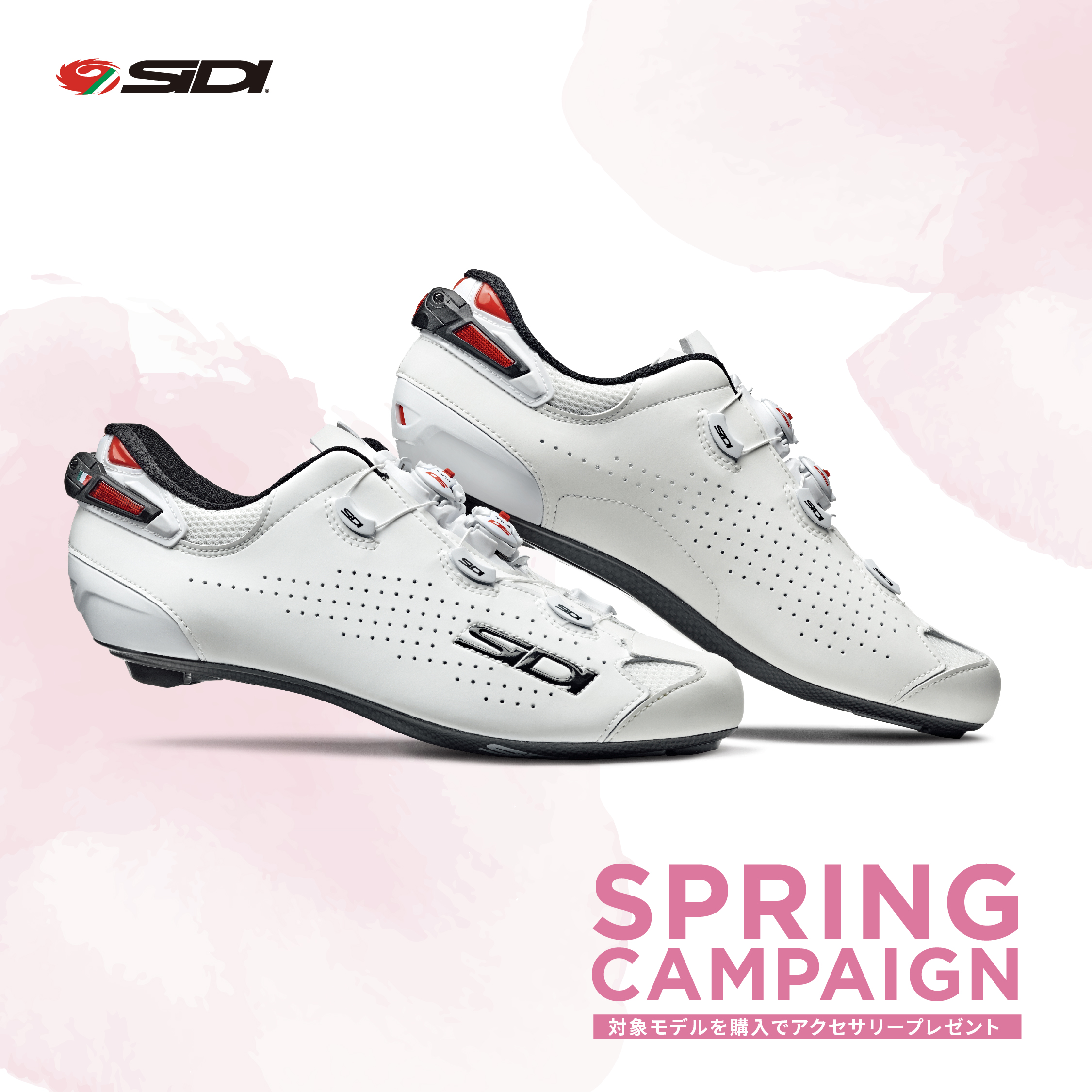 SIDI：スプリングキャンペーン - ニュース