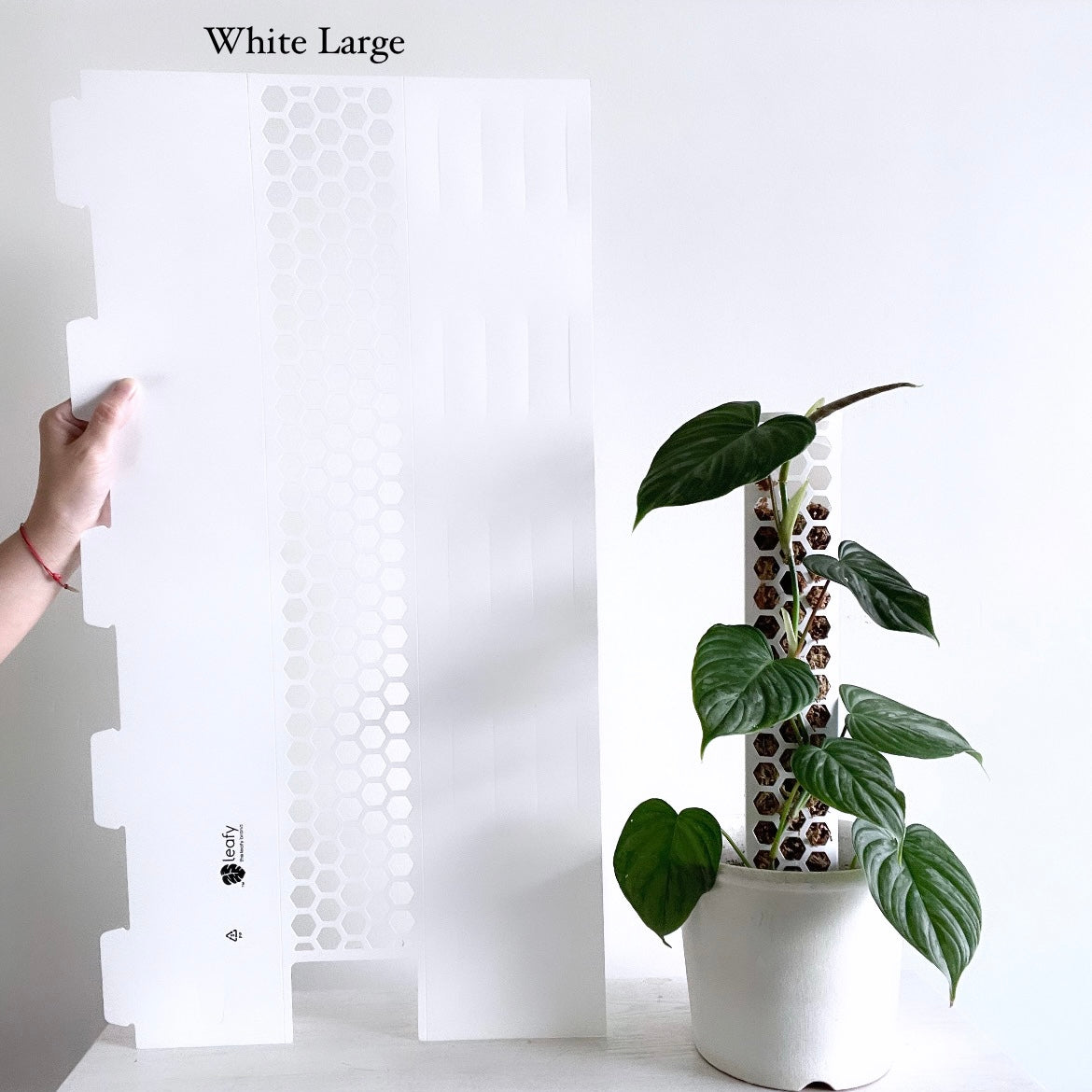 Leafy モスポール 2.0 ホワイト – Plants On White