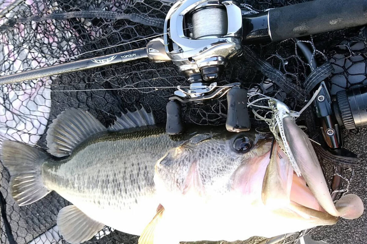 DAIWAバスロッドの名竿がさらなる進化を遂げ「究極」のパワー