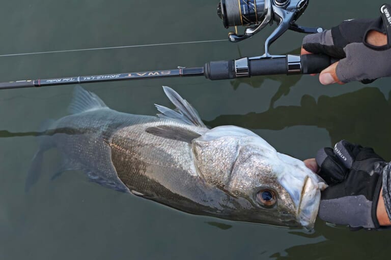 トップで連発！ リバーシーバスゲームが楽しくなる個性的なロッドを