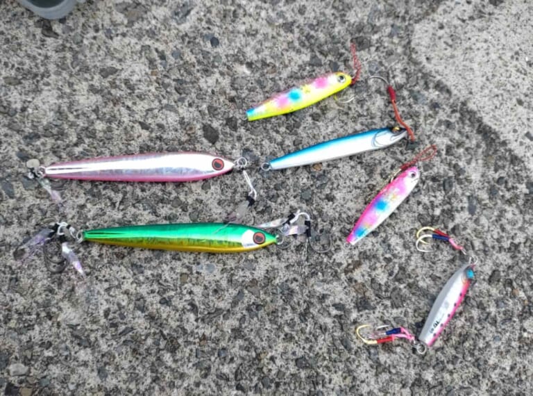 湘南の夏の釣りを「カーディナル3 SX（アブガルシア）」で満喫！ LT