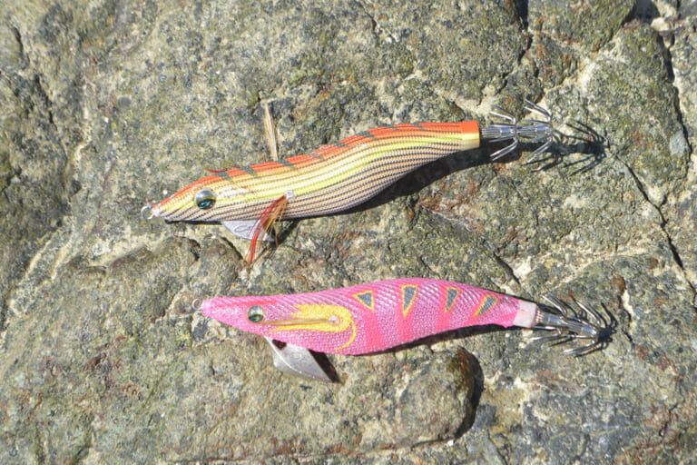 秋イカ攻略には「3号エギ」が絶対マスト！プレッシャーを掛けず躊躇