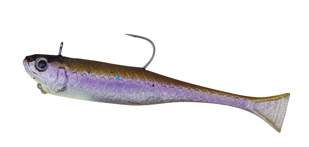 画像 No.1/18] 全国エリアバス大調査「宮城アングラーズヴィレッジ