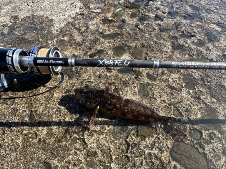 アマゾンセールにも対応！】大人気何でもロッド『クロスフィールド