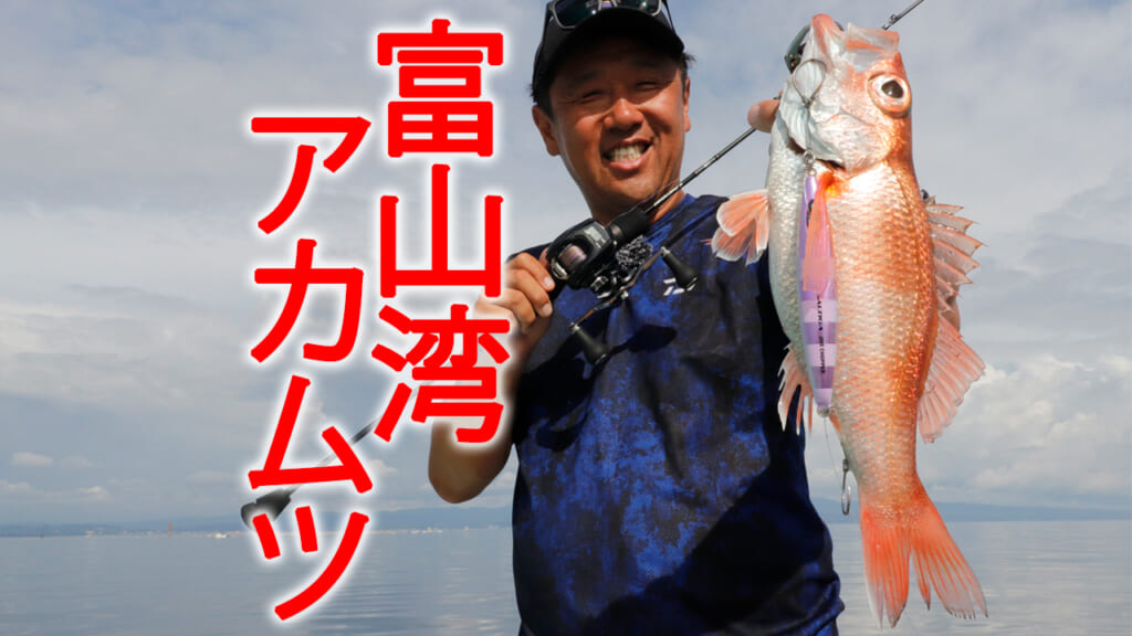 アカムツなのに浅海でお手軽!? 富山湾『高級魚』ゲームの簡単スロー