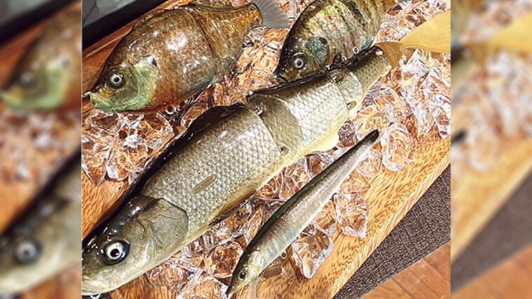 画像 No.1/7] 【値段の価値はある…！】これがルアー!? 本物の魚の皮を