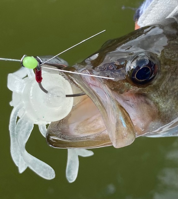 キングジミーヘンジ』は簡単な使い方で爆釣!? 話題のルアーを亀山湖で