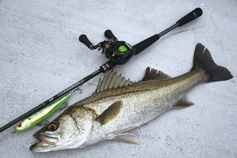 ボートシーバスロッドの決定版】話題の新生『ラブラックス AGS BS