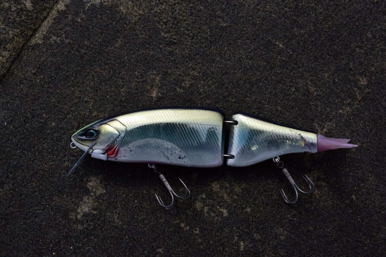 画像 No.1/14] フローティングのビッグベイトで水深10mオーバーを攻略