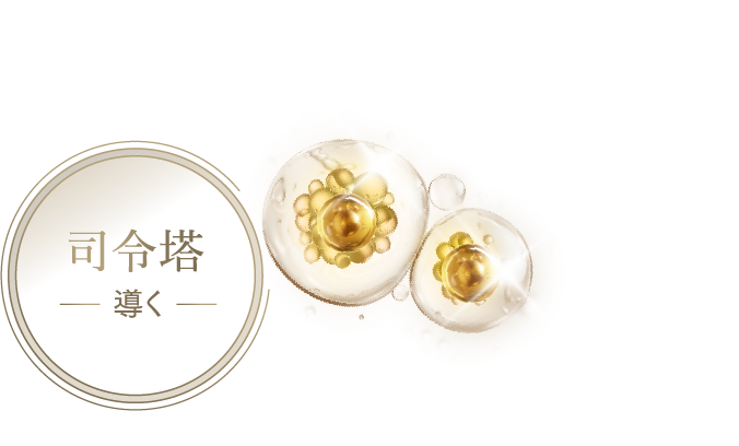 モリーズプロ エクソソームクリーム | 高機能エイジングケア