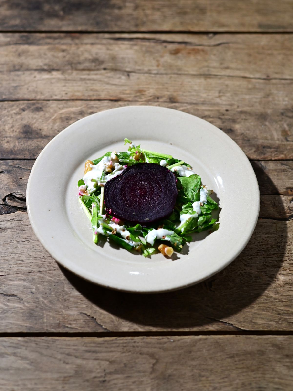 レコメンド :: スパイスとハーブ :: ランドレース 230プレート